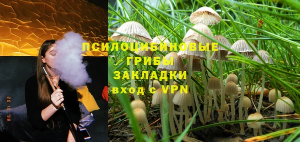 меф Арсеньев